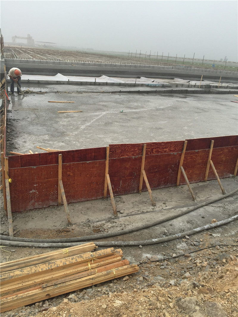 樂(lè)清疏港公路回填